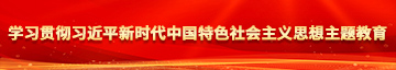 大鸡吧操大逼视频学习贯彻习近平新时代中国特色社会主义思想主题教育